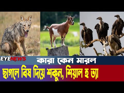 ছাগলে বিষ দিয়ে শকুন, শিয়াল হ ত্যা, কারা মারল কেন মারল