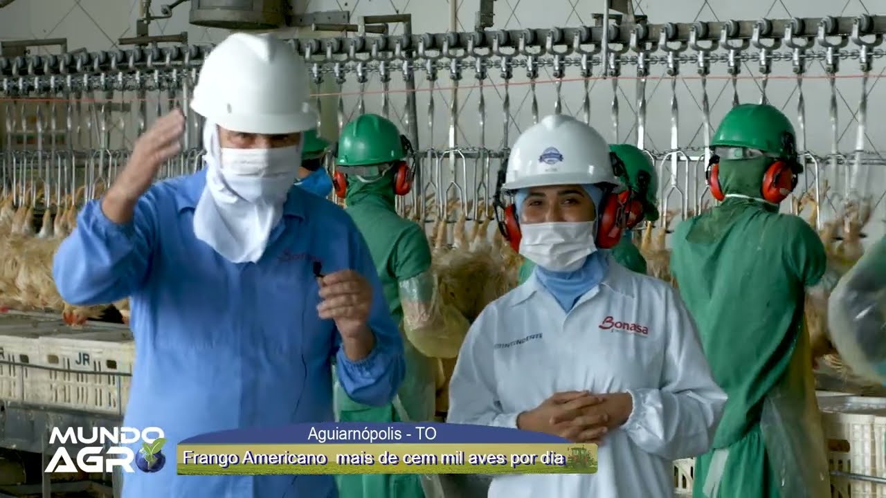 Frango Americano no Tocantins