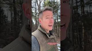 The Only 5 Funds I Would Buy and Hold for Life #realwealth #finance #money #tylergardner