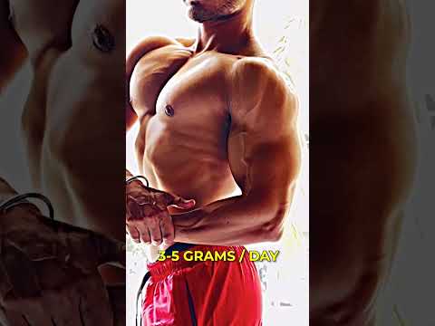 The Best Time to Take CREATINE