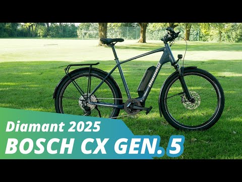 Diamant Zing Trip Plus 2025 mit Rahmenakku