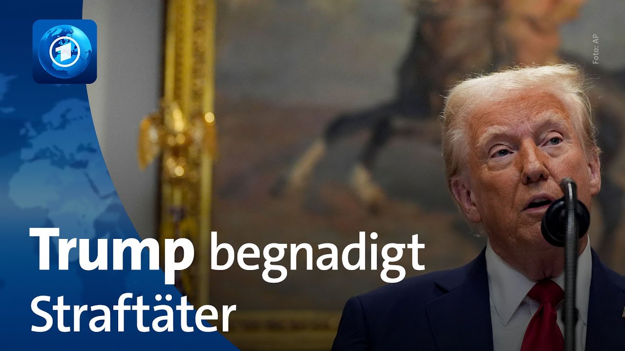 Trump begnadigt Hunderte Kapitol-Straftäter