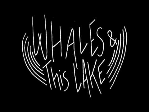 Whales & This Lake - The Fly