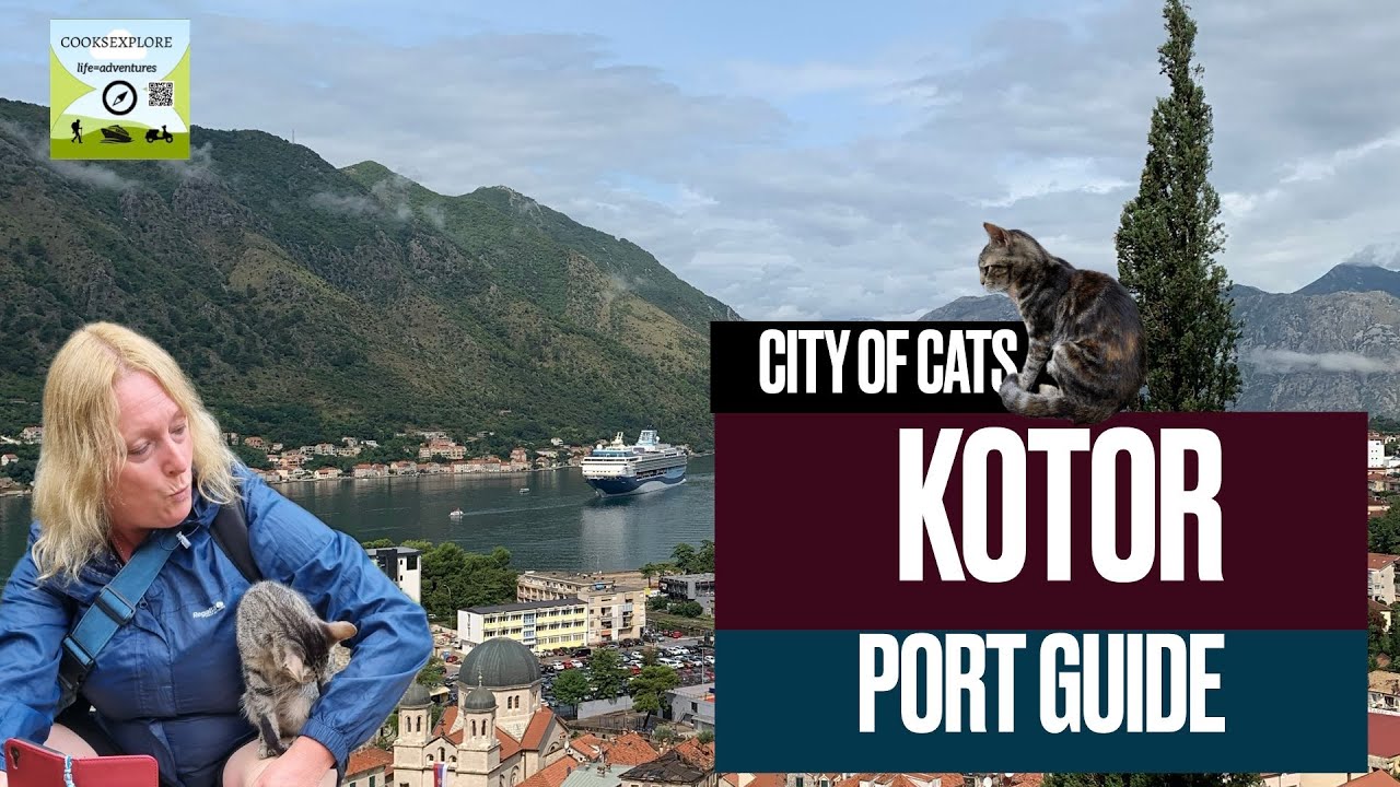 How to spend a day in KOTOR (cat city) - Our 4 Minute Port Guide