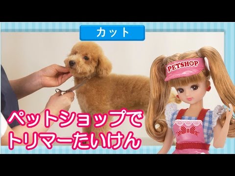 リカちゃんがペットショップでトリマーさんのお仕事体験