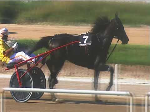 Trotto 09/09/2018 - 7ª corsa