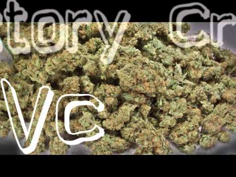 Victory Crew - Moro Hey (Gomorra Riddim).