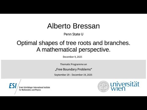 Alberto Bressan - Optimal shapes of tree roots and branches. A mathematical perspective.