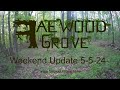 faewood grove weekend update 5 5 2024