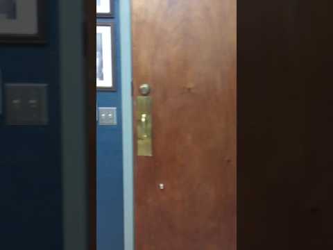 Vet Clinic Mannequin Challenge