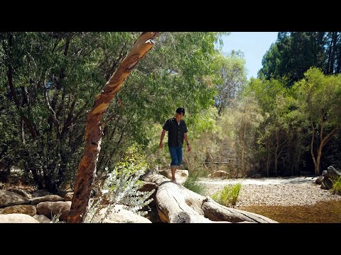 Destinaton WA -  Kings Park - Rio Tinto Naturscape