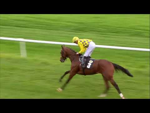 Galopprennbahn Dresden - 07.10.2017 - 3.Rennen