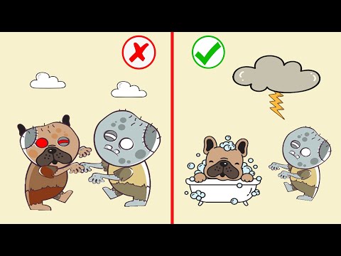 Logic Puzzles: Save The Doge 3