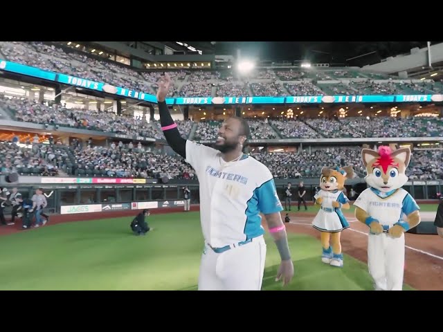 ファイターズ・レイエス選手ヒーローインタビュー 6月1日 北海道日本ハムファイターズ 対 千葉ロッテマリーンズ