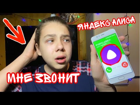 Алиса номер четыре. Алиса в 3 00 часа ночи. Позвонить Алисе.