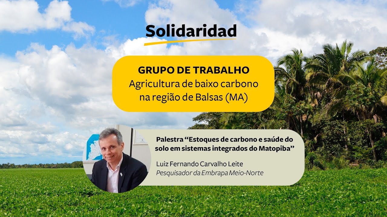 2ª Reunião do GT carbono: Estoques de carbono e saúde do solo em sistemas integrados do Matopiba