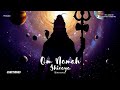 Om Namah Shivaya (Instrumental) | Official Visualizer | Junction09 | RelaxPulse Productions