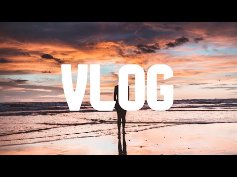 [No Copyright Music] Progressive House | Sappheiros - You