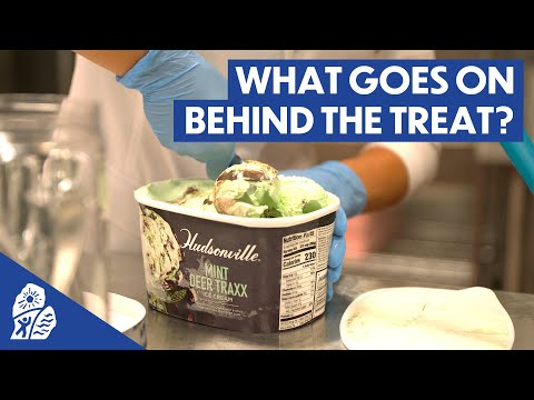 A Frozen Delight: This is Hudsonville Ice Cream