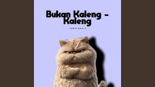 Download lagu Bukan Kaleng Kaleng mp3 Download lagu Bukan Kaleng Kaleng mp3
