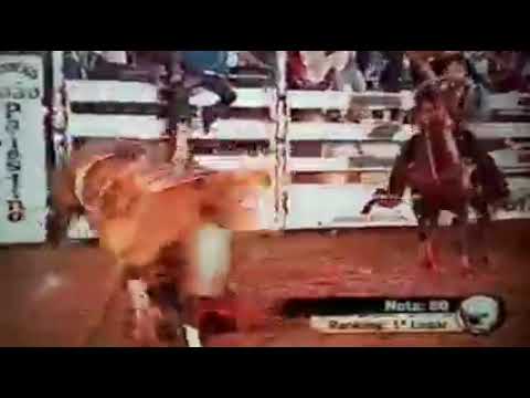 Marco Antônio da Silva Pio rodeio de carneirinho MG anos 2000