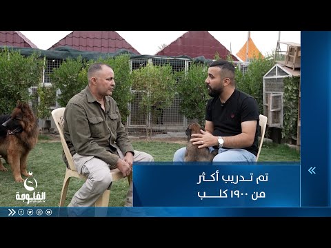 شاهد بالفيديو.. كابتن خالد : حصيلة الحيوانات التي تم تدريبها 1900 حيوان تقريبا