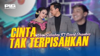 Download lagu Niken Salindry feat. David Chandra - Cinta Tak Terpisahkan mp3 Download lagu Niken Salindry feat. David Chandra - Cinta Tak Terpisahkan mp3