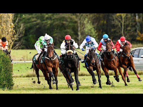 ŽIVĚ 🔴 | dostihy Kolesa – 19. 10. 2025