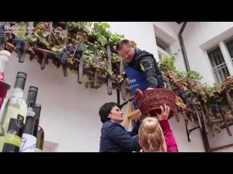 Prleška brotva 2016