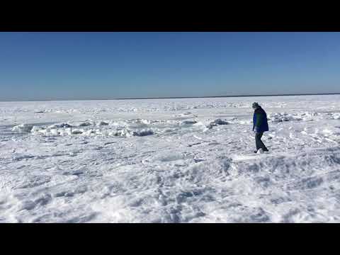 The whole ocean is frozen in Cape Cod.