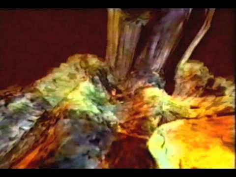 Future Sound Of London - Fsol - Lifeforms.avi