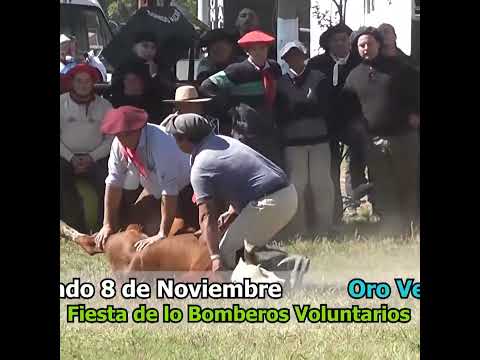 Volteo a la uña Campo Andino Santa FE Parte 1