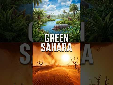 The Sahara Was GREEN? Hidden History Revealed!