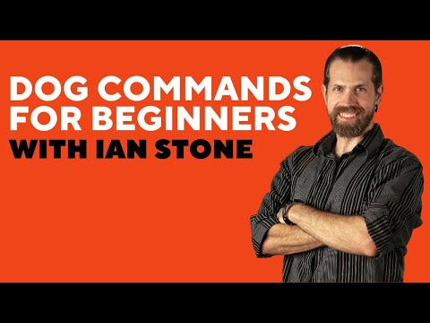 Holly and Hugo offers a comprehensive dog commands course with up to 89% off, covering pet care essentials online - Second Medium