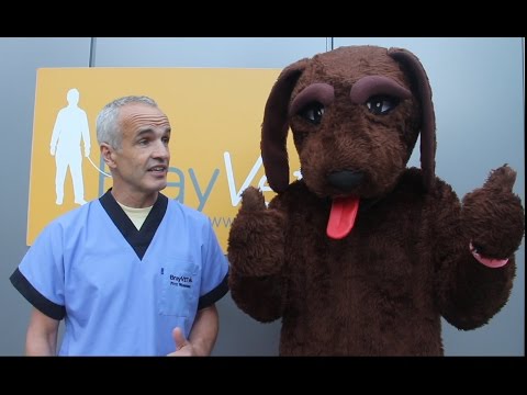 Pete the Vet "refusing to do the Ice Bucket Challenge"
