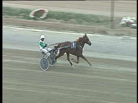 Trotto 12/05/2017 - 2ª prova di qualifica