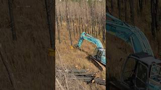 Cutting big forest fire burnt trees with TMK 400. 🔥🌲