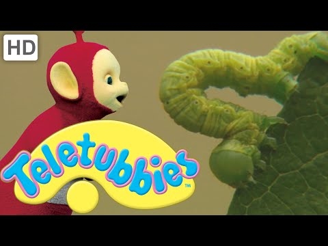 Teletubbies: Caterpillars - Full Episode