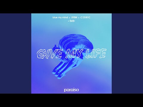 Give My Life (feat. Spijk)