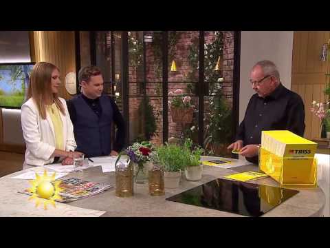 Så mycket pengar kan trissvinnaren spendera med barnbarnen! - Nyhetsmorgon (TV4)