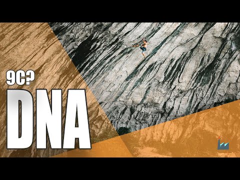 Seb Bouin propone il 9c!! - Parliamone - #BFCC