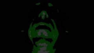 Lane Steinberg - The Deathbed Song (Chrysanthemums cover)