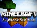 SkyBlock para Minecraft vídeo 2