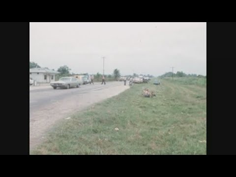 McCrea, Louisiana:  Louisiana rock festival stopped: