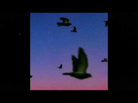 NEPAL x SHELDON TYPE BEAT - "MIGRATION"