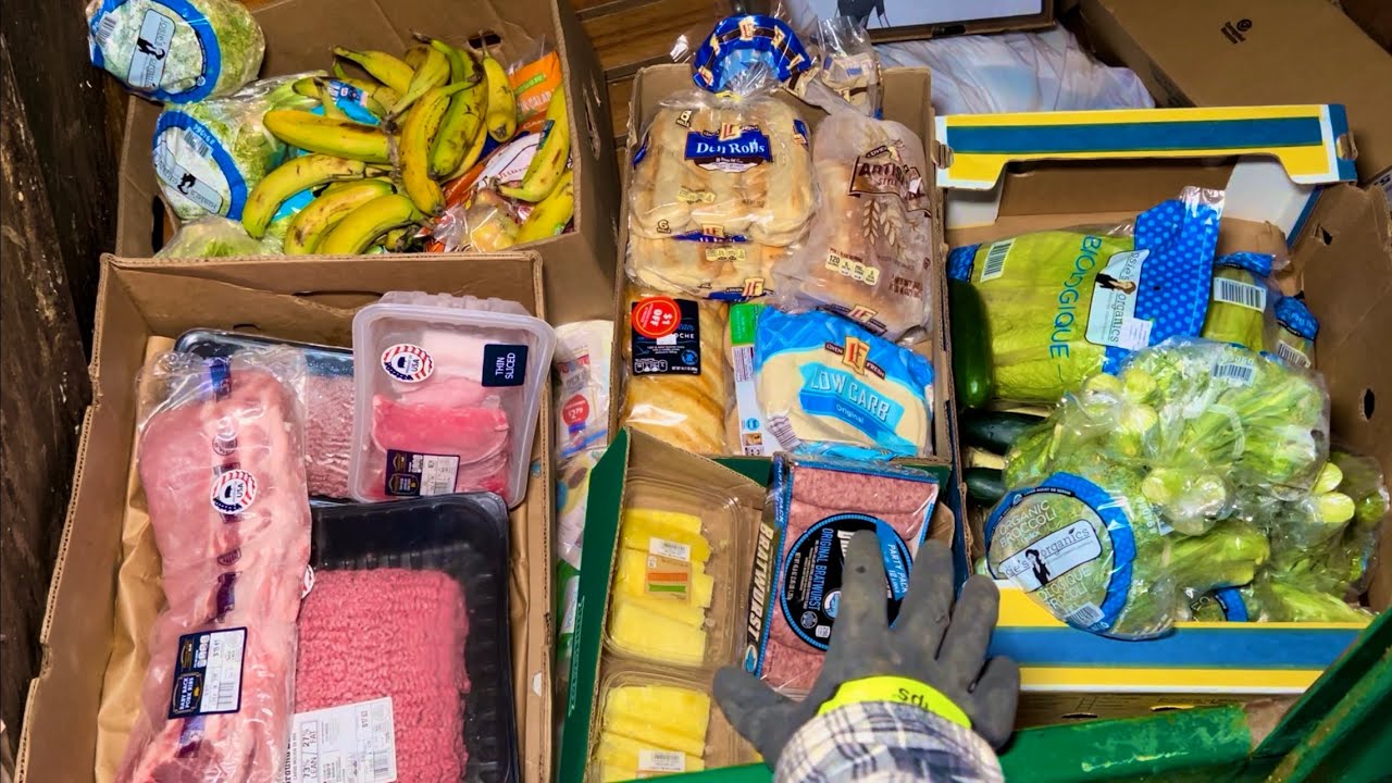 Dumpster Diving Aldi #101 Free Grocery Shopping!