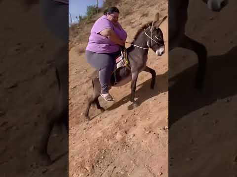 HUMOR TUNUYAN MENDOZA ARGENTINA 2025