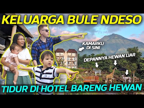 keluarga-londokampung-nginep-bareng-hewan-liar-di-baobab-safari-resort