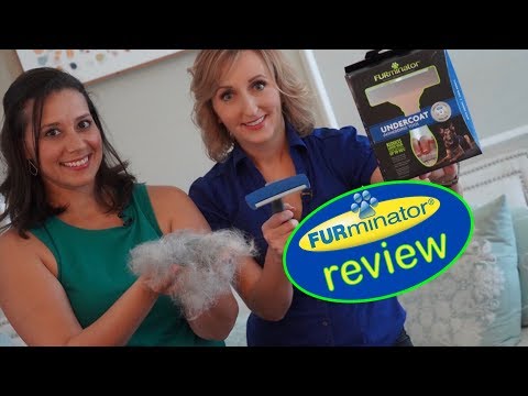 Furminator Review: Undercoat deshedding tool for dogs and cats