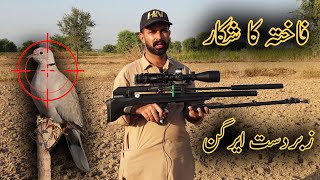 Download lagu Doves Catch & Cook | Pcp P35 Airgun Hunting Season 2022-2023 mp3